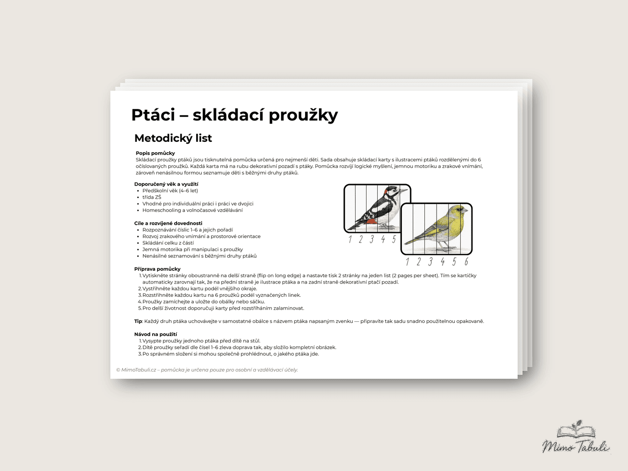 Ptáci – skládací proužky – náhled 6